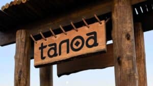 TANOA BANNER 02